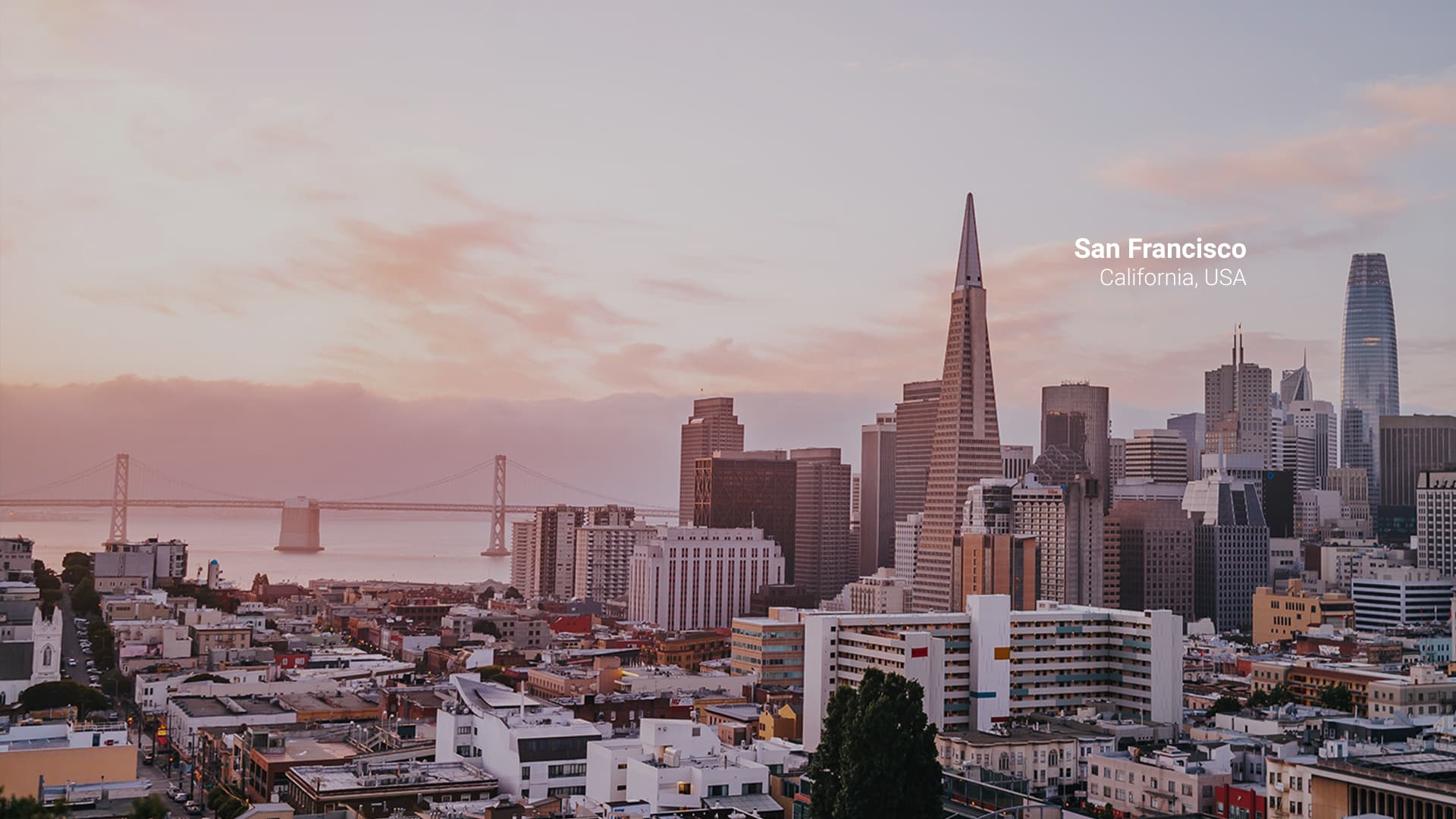 OneTouch Networks Office